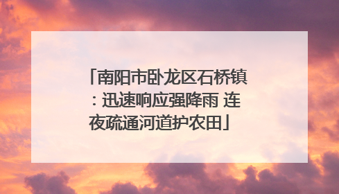 南阳市卧龙区石桥镇：迅速响应强降雨 连夜疏通河道护农田