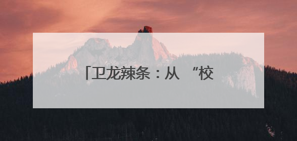 卫龙辣条：从 “校园记忆” 到 “全球辣味生态领航者”——解码千亿市场背后的产品创新与全链路破圈
