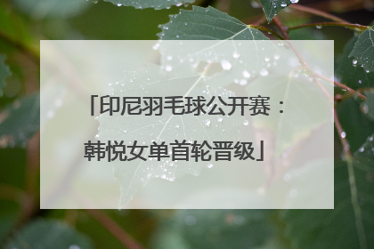 印尼羽毛球公开赛：韩悦女单首轮晋级