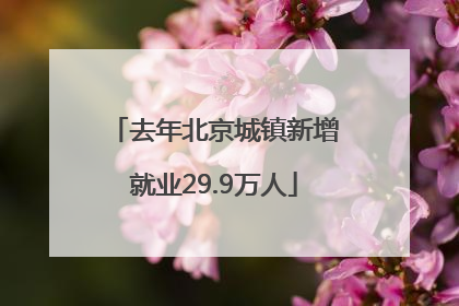 去年北京城镇新增就业29.9万人
