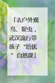 去户外观鸟、捉虫，武汉流行带孩子“培优”自然课