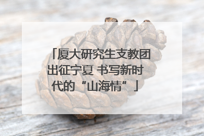 厦大研究生支教团出征宁夏 书写新时代的“山海情”