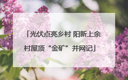 光伏点亮乡村 阳新上余村屋顶“金矿”并网记