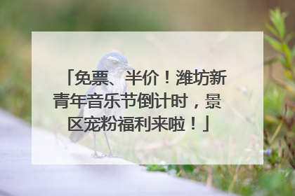 免票、半价！潍坊新青年音乐节倒计时，景区宠粉福利来啦！