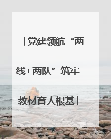 党建领航“两线+两队”筑牢教材育人根基