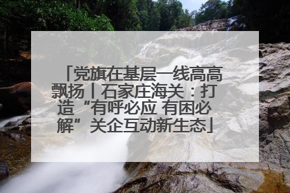 党旗在基层一线高高飘扬丨石家庄海关：打造“有呼必应 有困必解”关企互动新生态