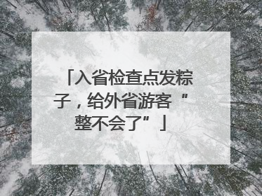 入省检查点发粽子，给外省游客“整不会了”