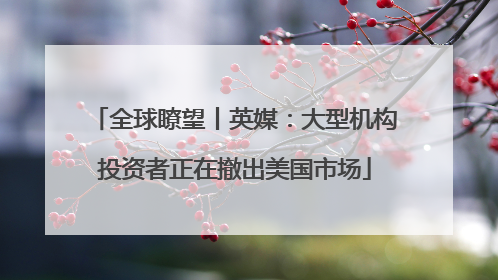 全球瞭望丨英媒：大型机构投资者正在撤出美国市场