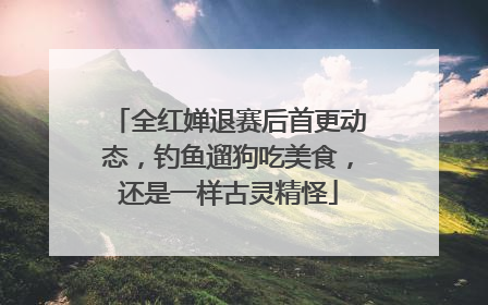 全红婵退赛后首更动态，钓鱼遛狗吃美食，还是一样古灵精怪