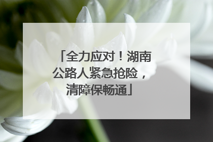 全力应对！湖南公路人紧急抢险，清障保畅通