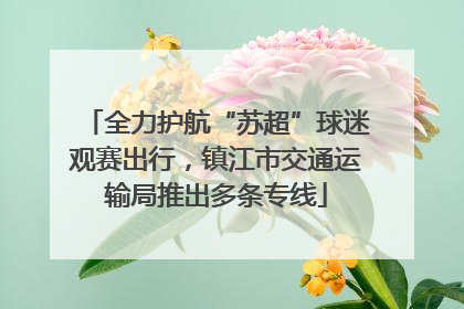 全力护航“苏超”球迷观赛出行，镇江市交通运输局推出多条专线