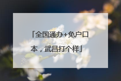 全国通办+免户口本，武昌打个样