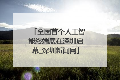 全国首个人工智能终端展在深圳启幕_深圳新闻网