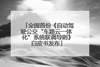 全国首份《自动驾驶公交“车路云一体化”系统联调导则》白皮书发布