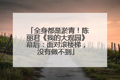 全身都是淤青！陈丽君《我的大观园》幕后：面对滚楼梯，没有做不到