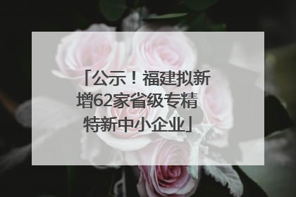 公示！福建拟新增62家省级专精特新中小企业