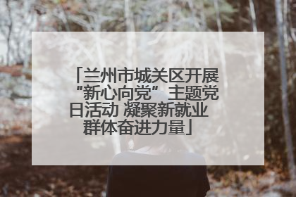 兰州市城关区开展“新心向党”主题党日活动 凝聚新就业群体奋进力量