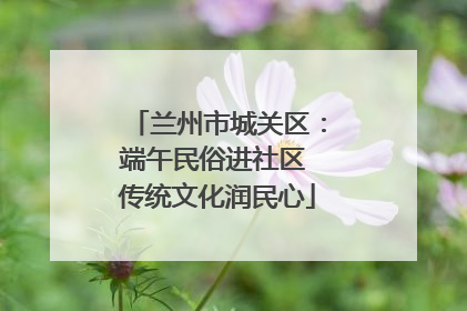 兰州市城关区：端午民俗进社区 传统文化润民心
