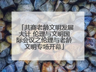 共商老龄文明发展大计 伦理与文明国际会议之伦理与老龄文明专场开幕