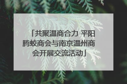 共聚温商合力 平阳腾蛟商会与南京温州商会开展交流活动