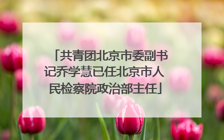 共青团北京市委副书记乔学慧已任北京市人民检察院政治部主任