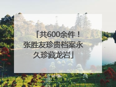 共600余件！张胜友珍贵档案永久珍藏龙岩