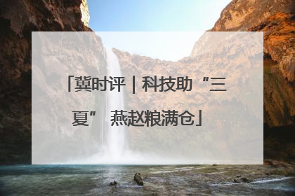 冀时评｜科技助“三夏” 燕赵粮满仓