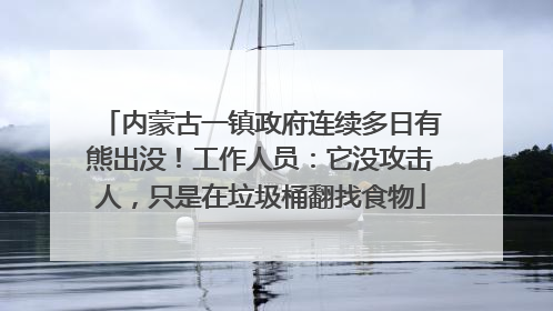 内蒙古一镇政府连续多日有熊出没！工作人员：它没攻击人，只是在垃圾桶翻找食物