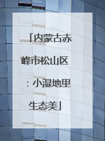 内蒙古赤峰市松山区：小湿地里生态美