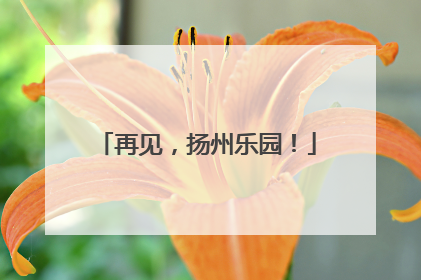再见，扬州乐园！