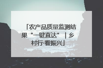 农产品质量监测结果“一键直达”｜乡村行·看振兴