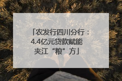 农发行四川分行：4.4亿元贷款赋能夹江“粮”方