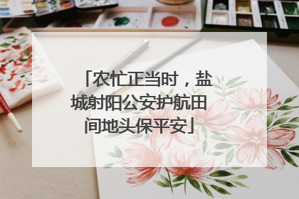 农忙正当时，盐城射阳公安护航田间地头保平安