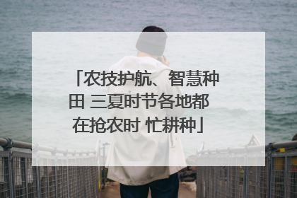 农技护航、智慧种田 三夏时节各地都在抢农时 忙耕种