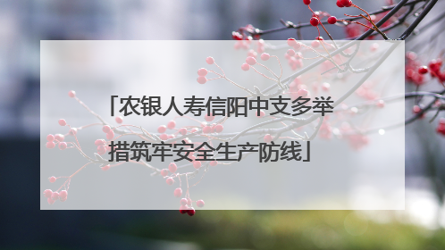 农银人寿信阳中支多举措筑牢安全生产防线