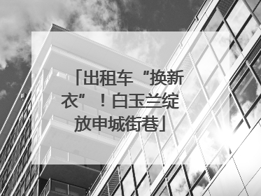 出租车“换新衣”！白玉兰绽放申城街巷
