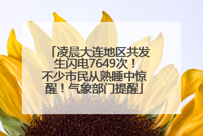 凌晨大连地区共发生闪电7649次！不少市民从熟睡中惊醒！气象部门提醒