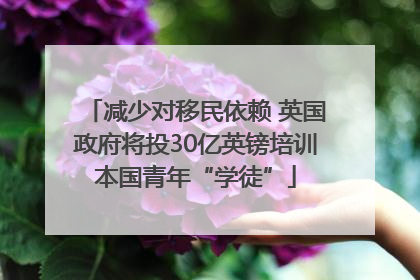 减少对移民依赖 英国政府将投30亿英镑培训本国青年“学徒”
