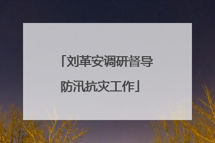 刘革安调研督导防汛抗灾工作