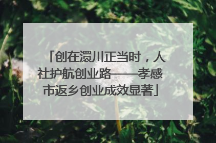 创在澴川正当时，人社护航创业路——孝感市返乡创业成效显著