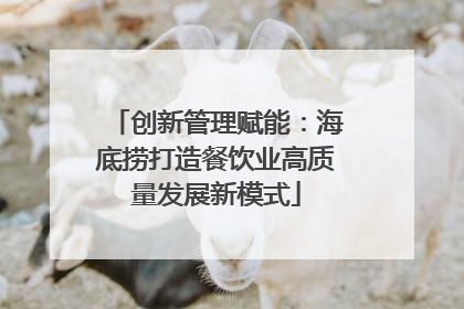 创新管理赋能：海底捞打造餐饮业高质量发展新模式