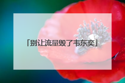 别让流量毁了韦东奕