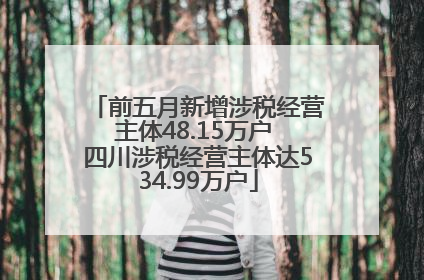 前五月新增涉税经营主体48.15万户 四川涉税经营主体达534.99万户