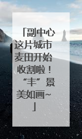 副中心这片城市麦田开始收割啦！“丰”景美如画~