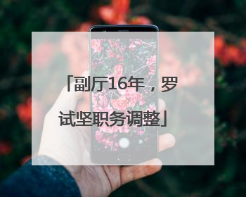 副厅16年，罗试坚职务调整