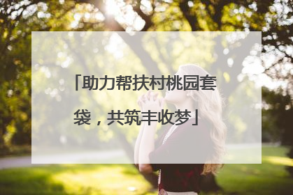 助力帮扶村桃园套袋，共筑丰收梦