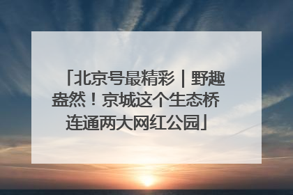 北京号最精彩｜野趣盎然！京城这个生态桥连通两大网红公园