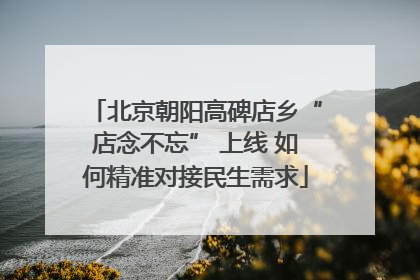 北京朝阳高碑店乡“店念不忘” 上线 如何精准对接民生需求