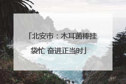 北安市：木耳菌棒挂袋忙 奋进正当时
