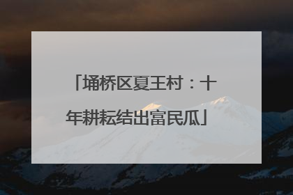 埇桥区夏王村：十年耕耘结出富民瓜